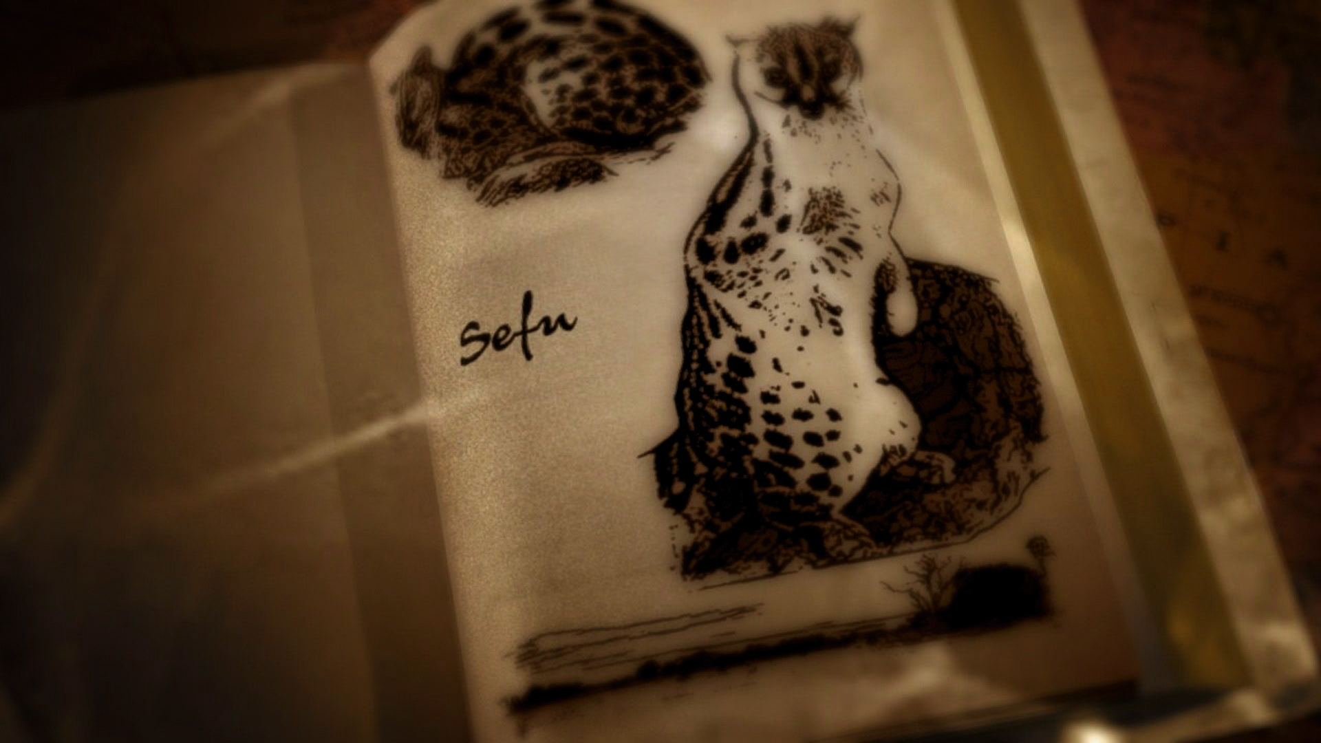 SCOJ2 - Table Manners