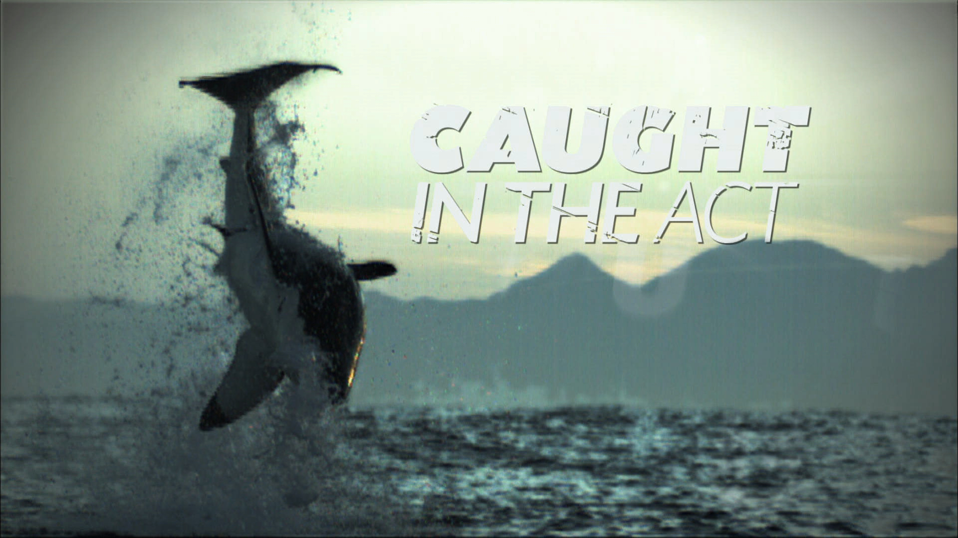 Caught in the Act! 2