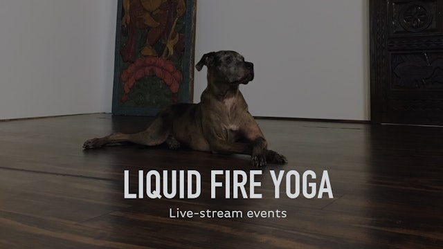 Liquid Fire Yoga LIVE! - Easter Sunday