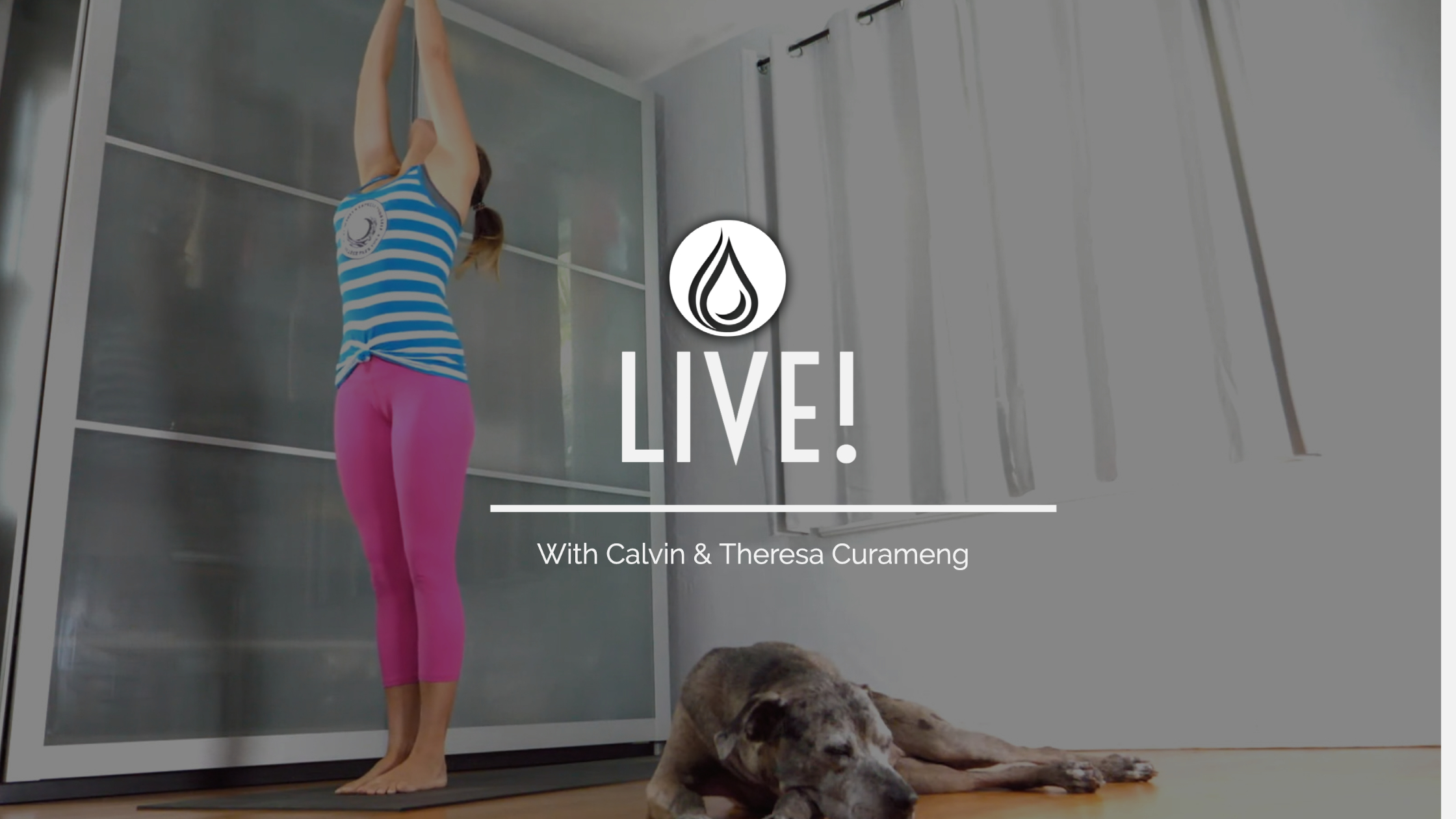 LFY - LIVE!  Strength Builder