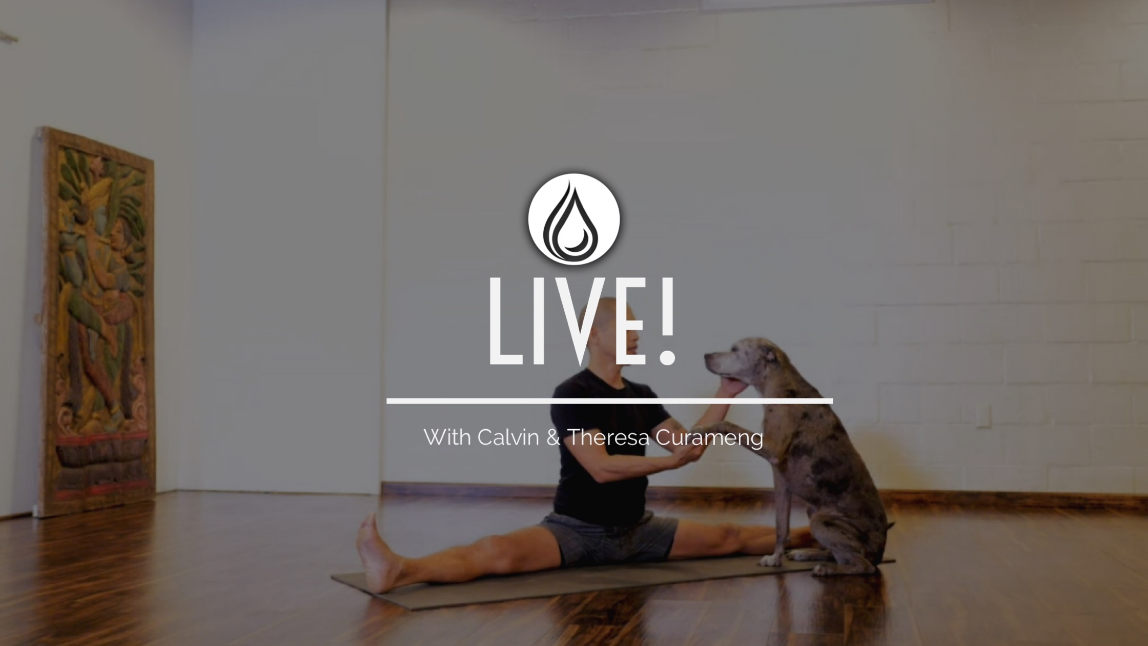 For the love of...dogs!