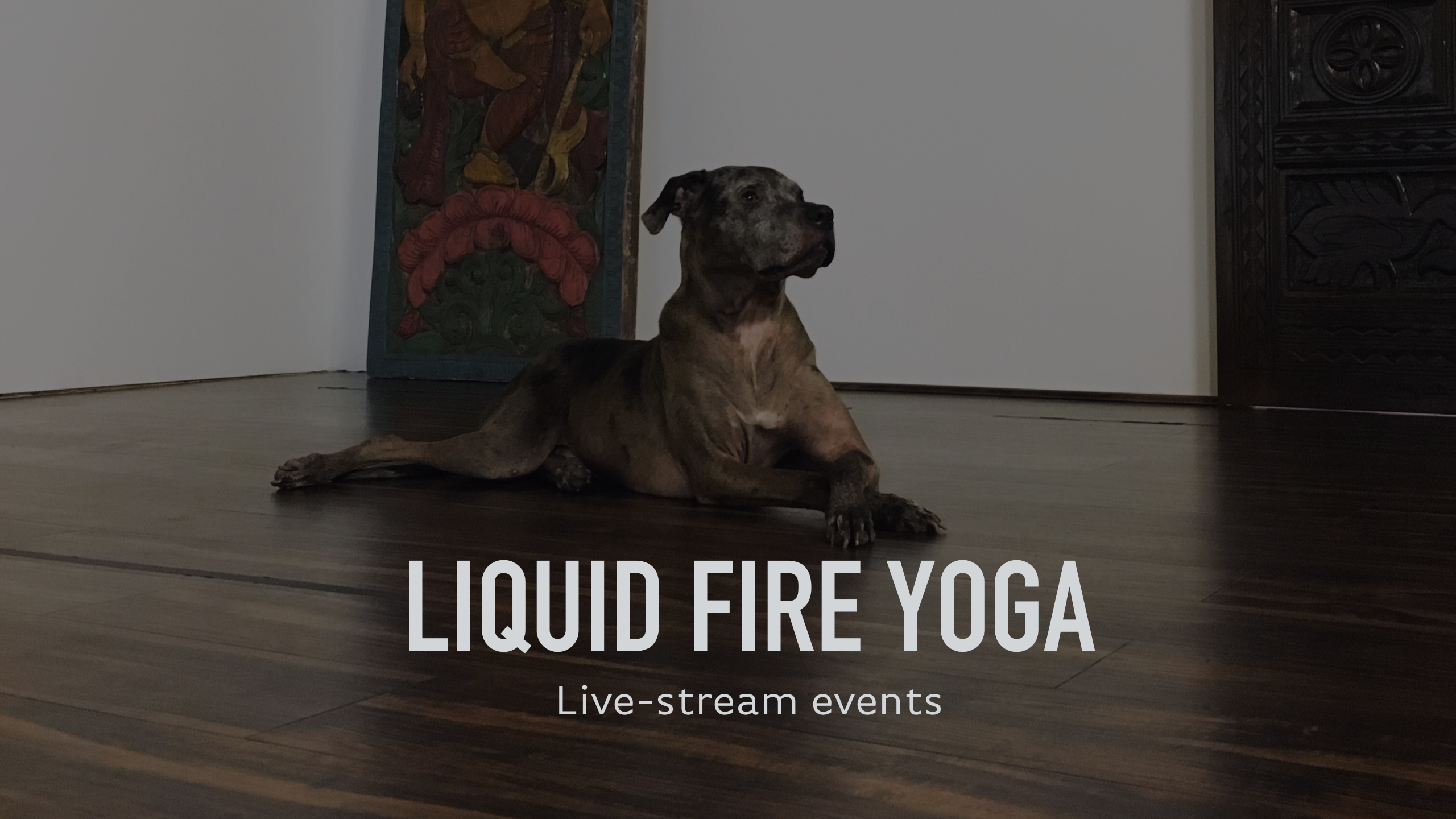 Liquid Fire Yoga LIVE! The Birthday Sequence