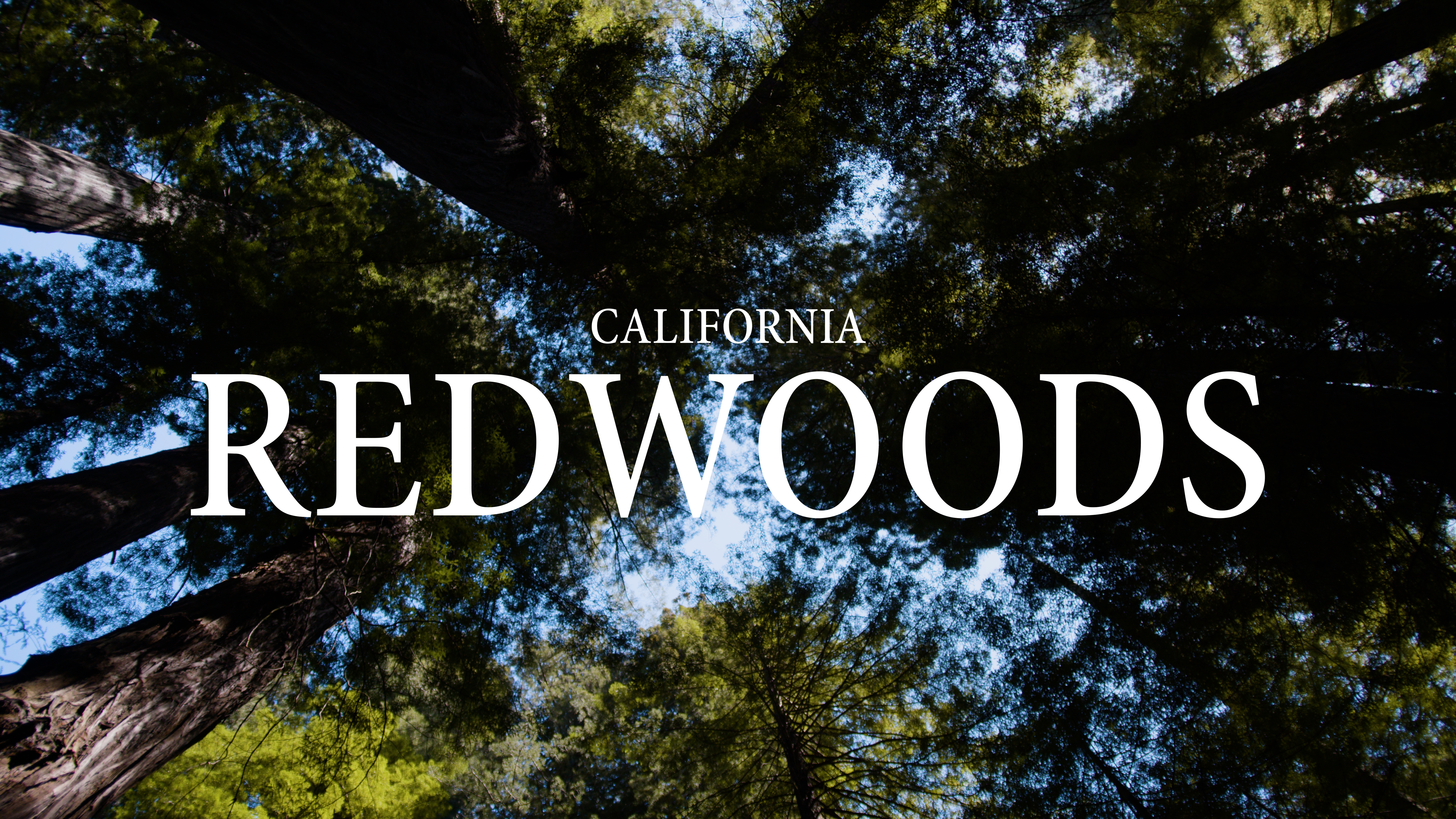 Liquid Scenery Video