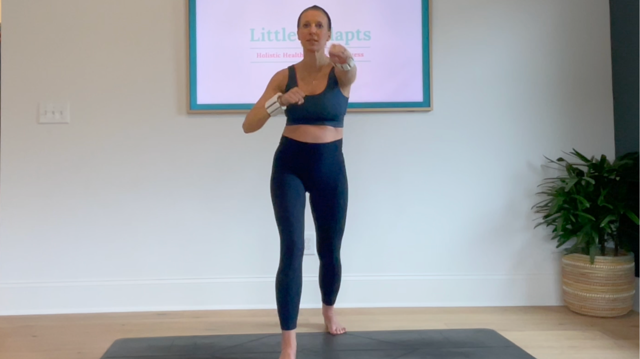 14 Min Cardio Burst - Optional 1 lb weights (Pre/postnatal friendly!)