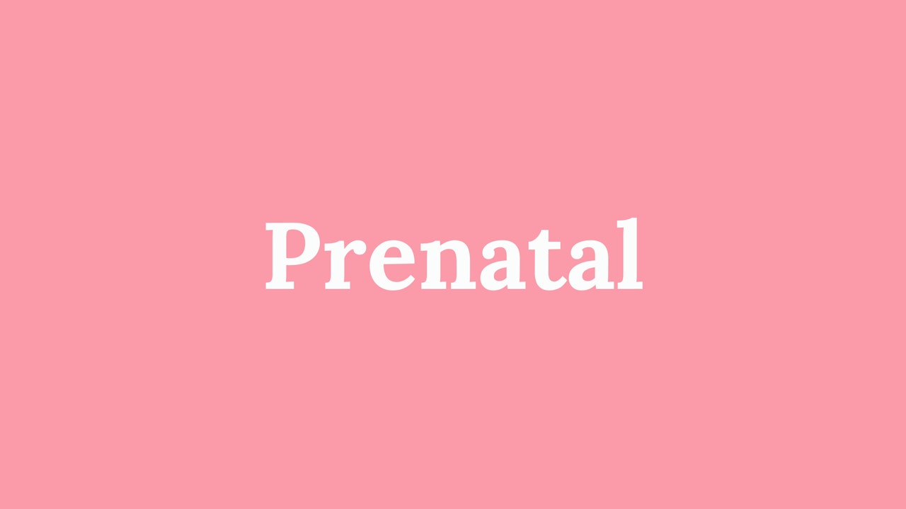 Prenatal Program