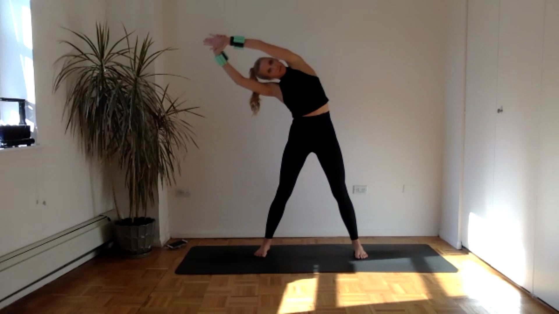 30 Minute Full Body - 1 lb weights