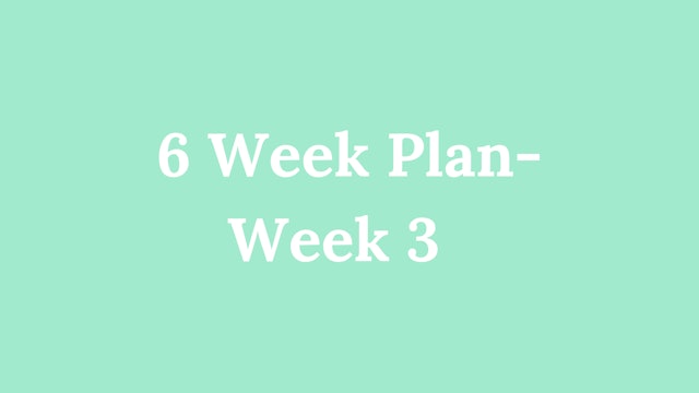6 Week Plan - Week 3: Breakfast + Behavior