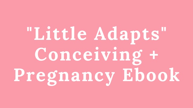 "Little Adapts" Conceiving + Pregnancy Ebook