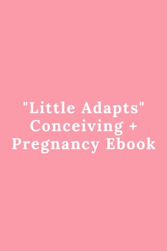 "Little Adapts" Conceiving + Pregnancy Ebook