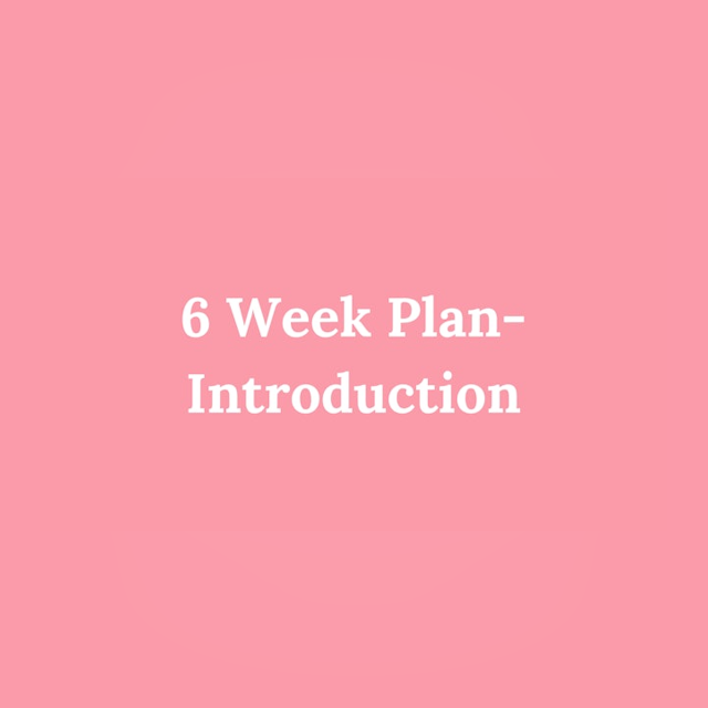 6 Week Plan - Introduction Video