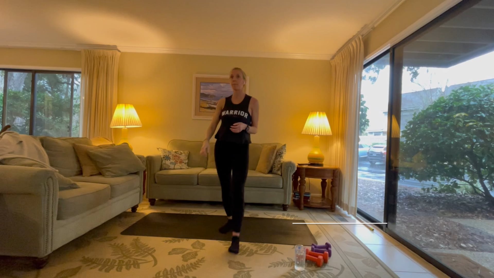 30 Min Full Body - 3 + 5 lb weights (Live 2/9)