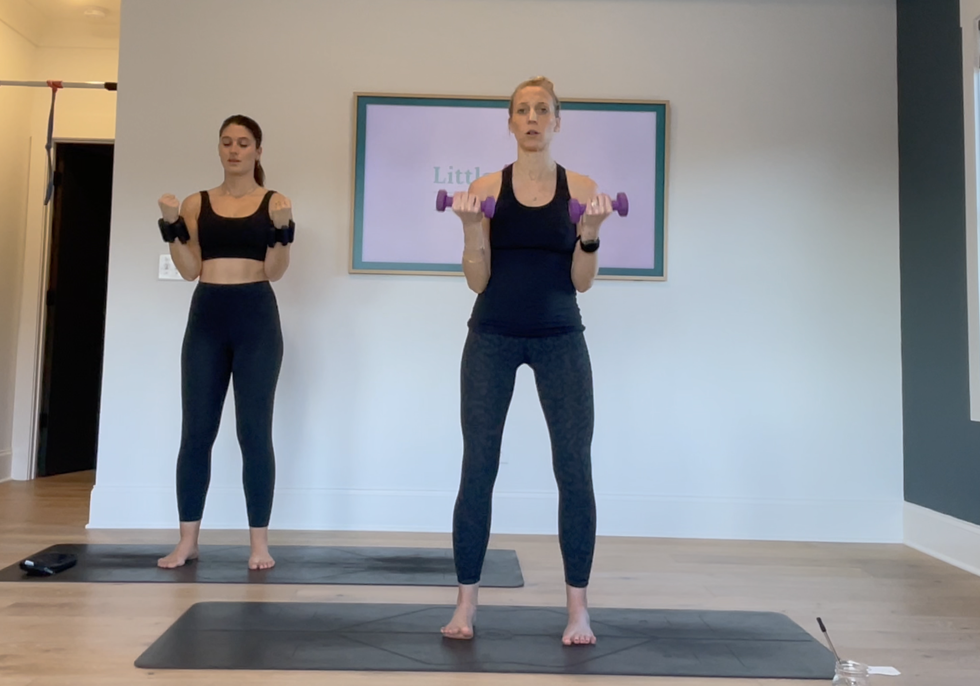 11 Min Arms - 3 lb weights