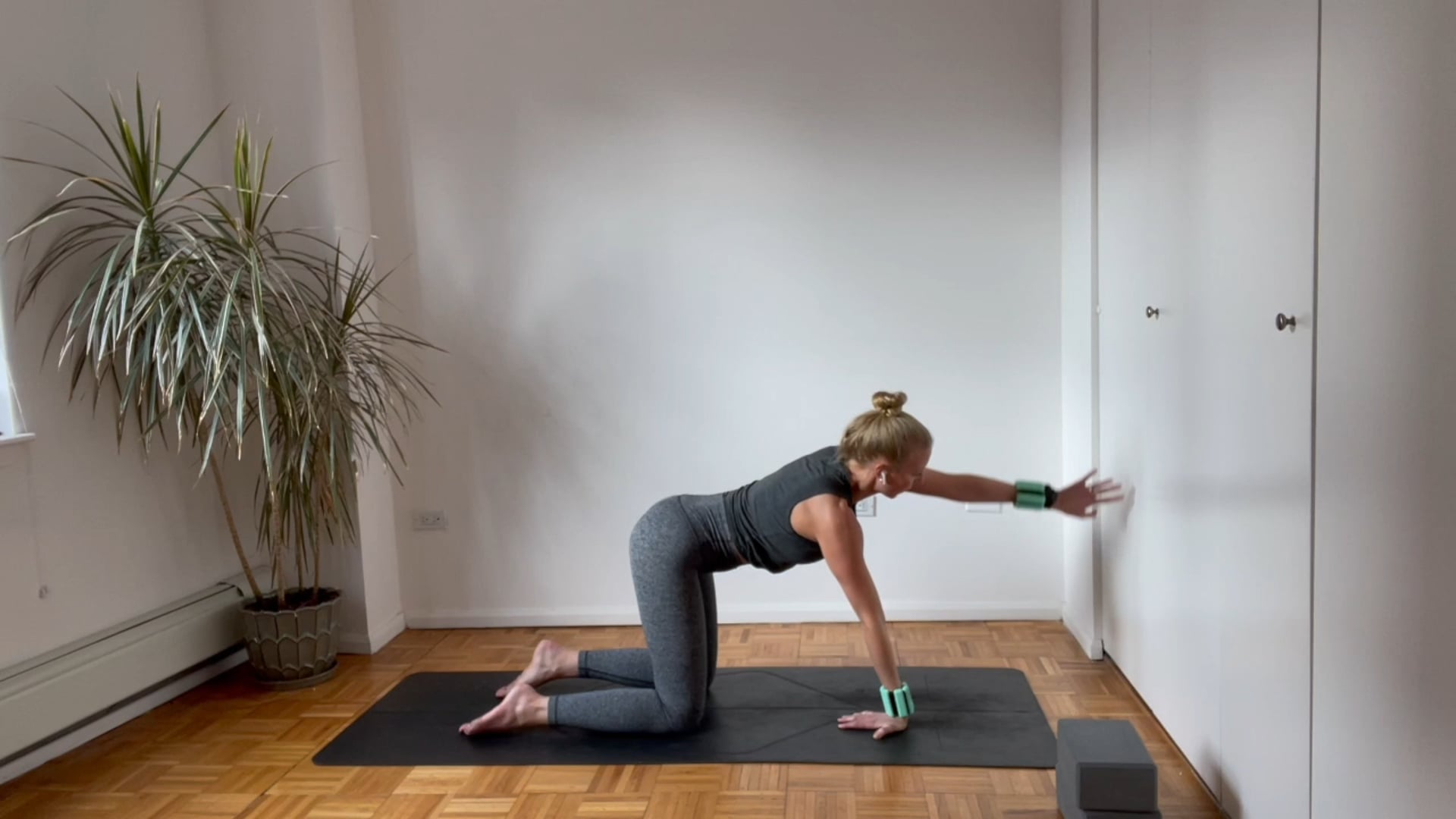 30 Min LA Yoga Sculpt - Optional 1 lb wrist weight + yoga blocks