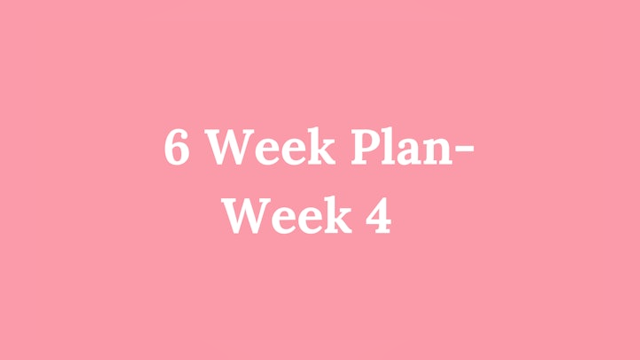 6 Week Plan - Week 4: Main Meals + Travel/Social Navigation