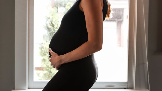 24 Min Full Body Prenatal Sculpt - 1 + 5 lb weights (Live 3/14)