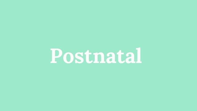 Postnatal Program