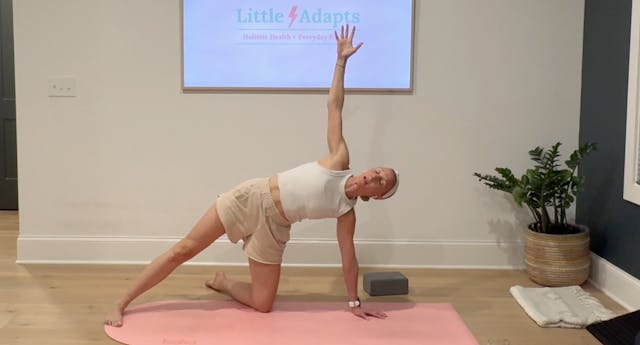 Bonus! 60 Min Prenatal Yoga