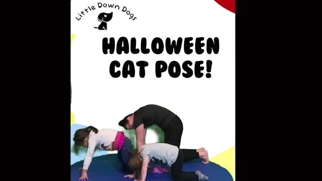 Halloween Cat Pose!