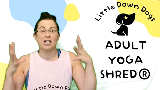 About Adult Yoga Shred®️