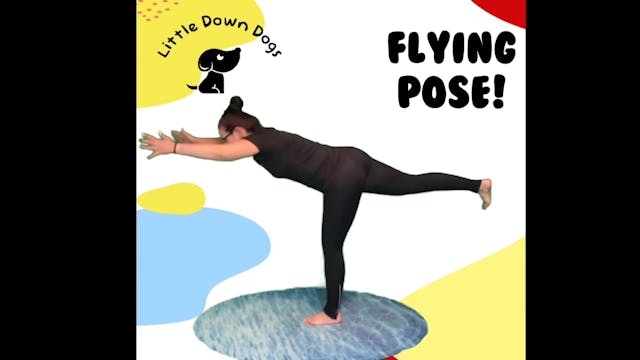 Flying Pose!