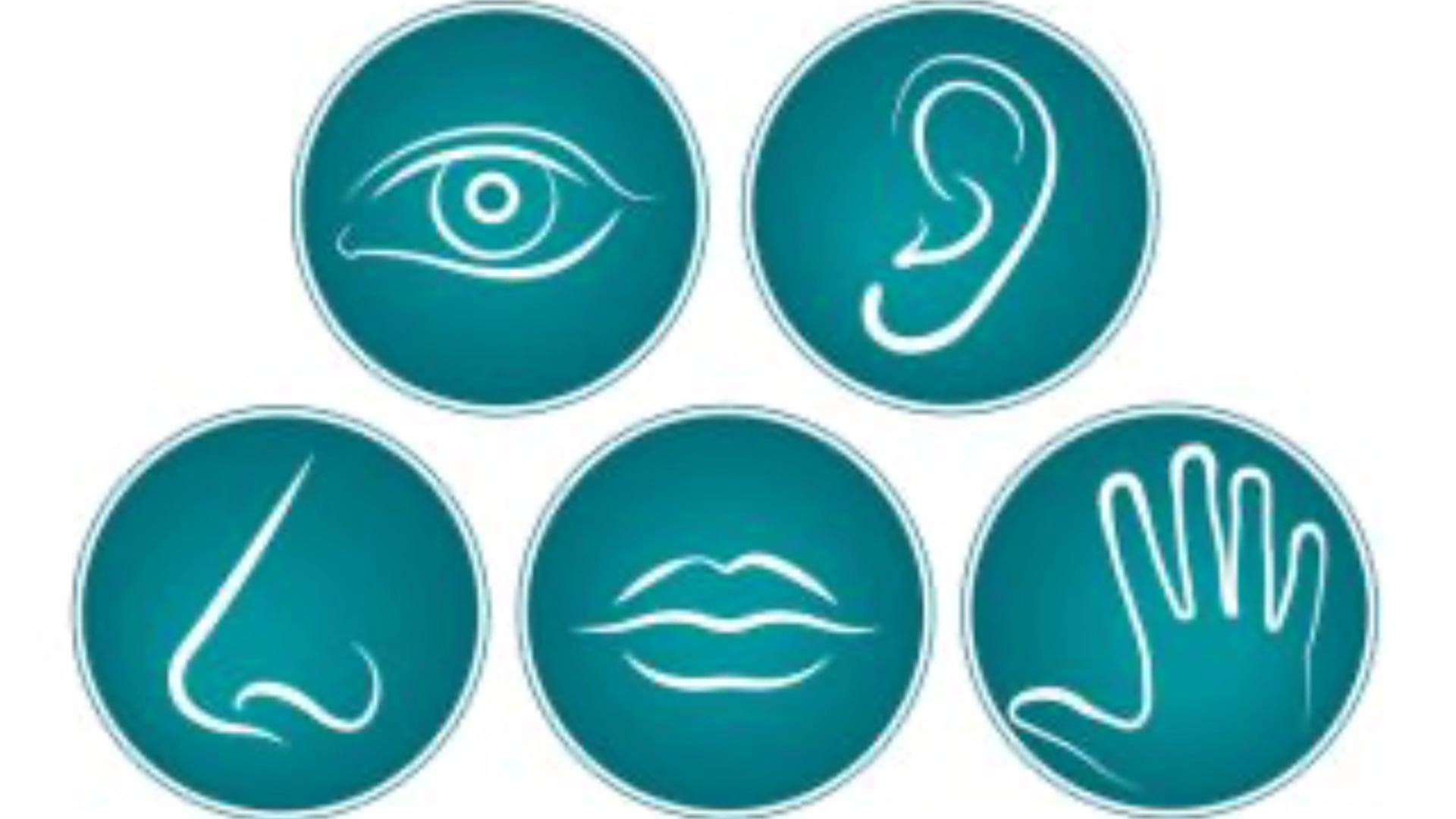 The Five Senses (Meditation Aged 10+)