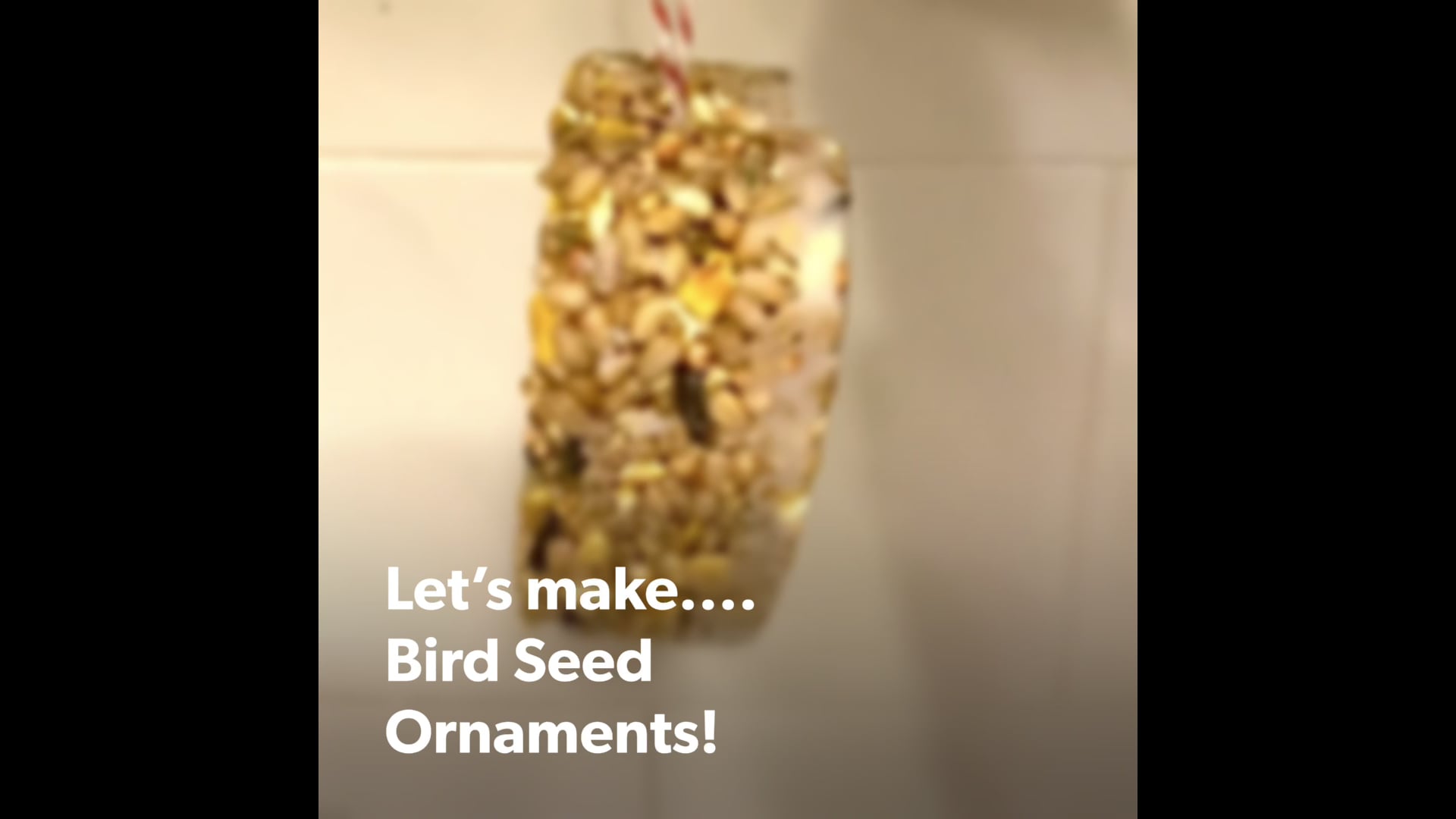 Bird Seed Ornaments
