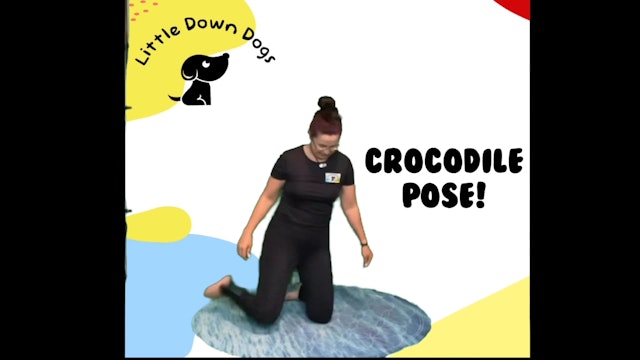 Crocodile Pose!