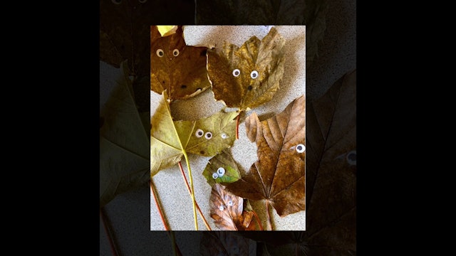 Leaf Haircuts!