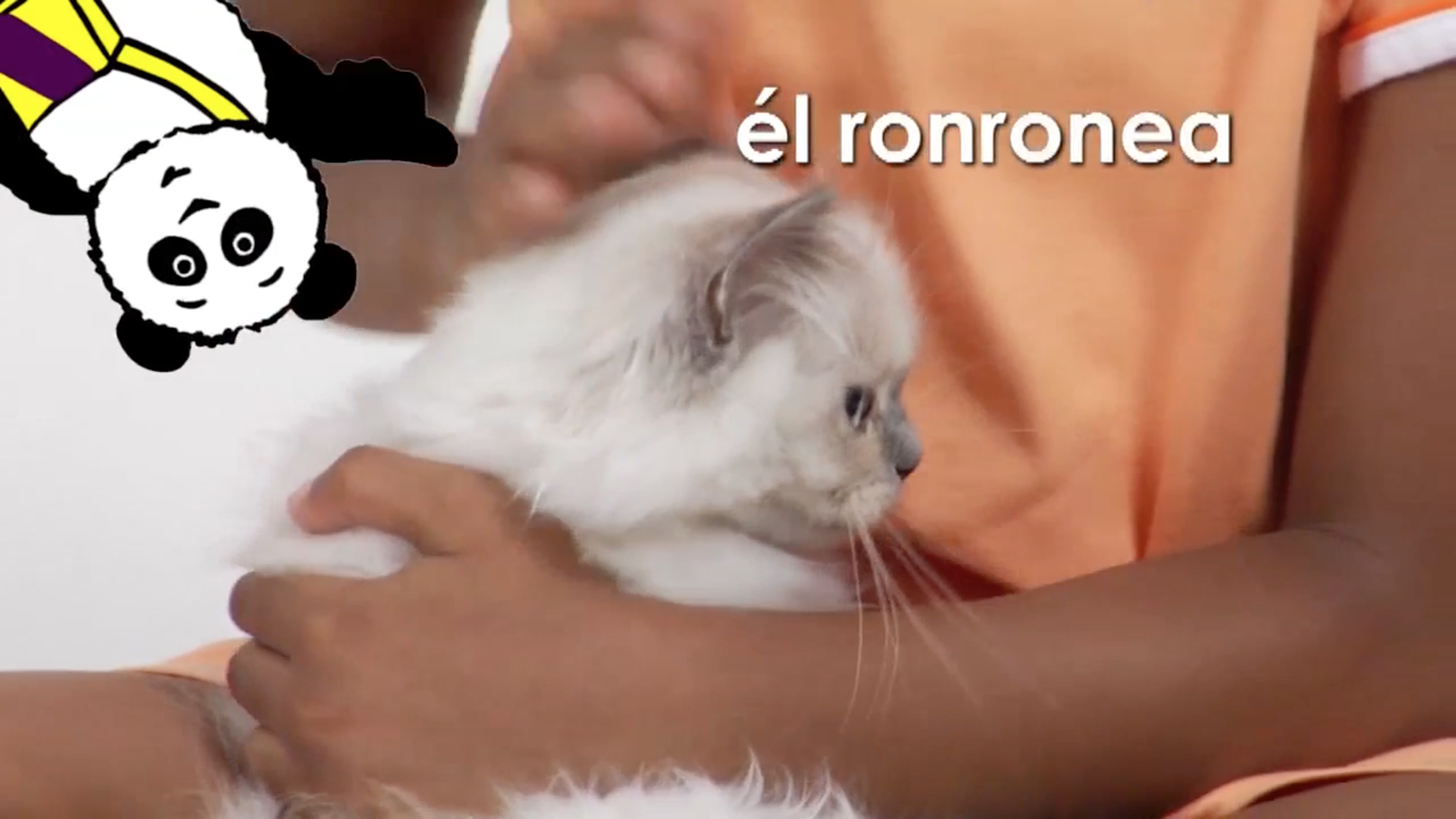 Spanish Volume 1 - Episode 12