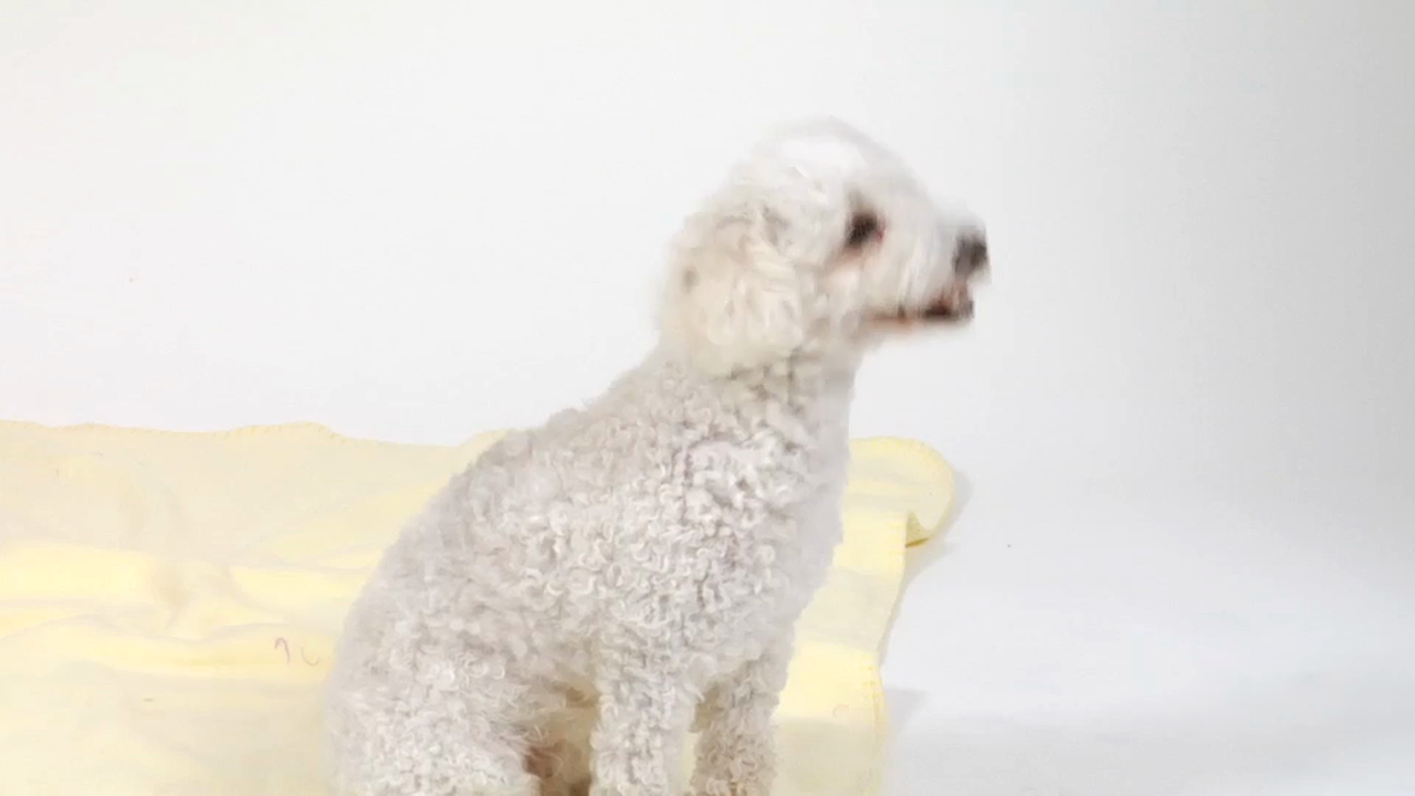 French Volume 1 - Episode 18