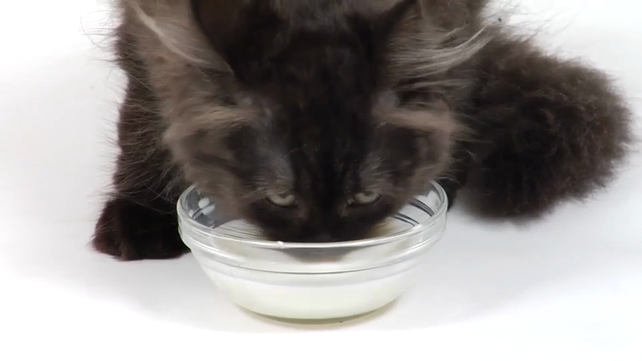 Mandarin Volume 1 - Episode 7