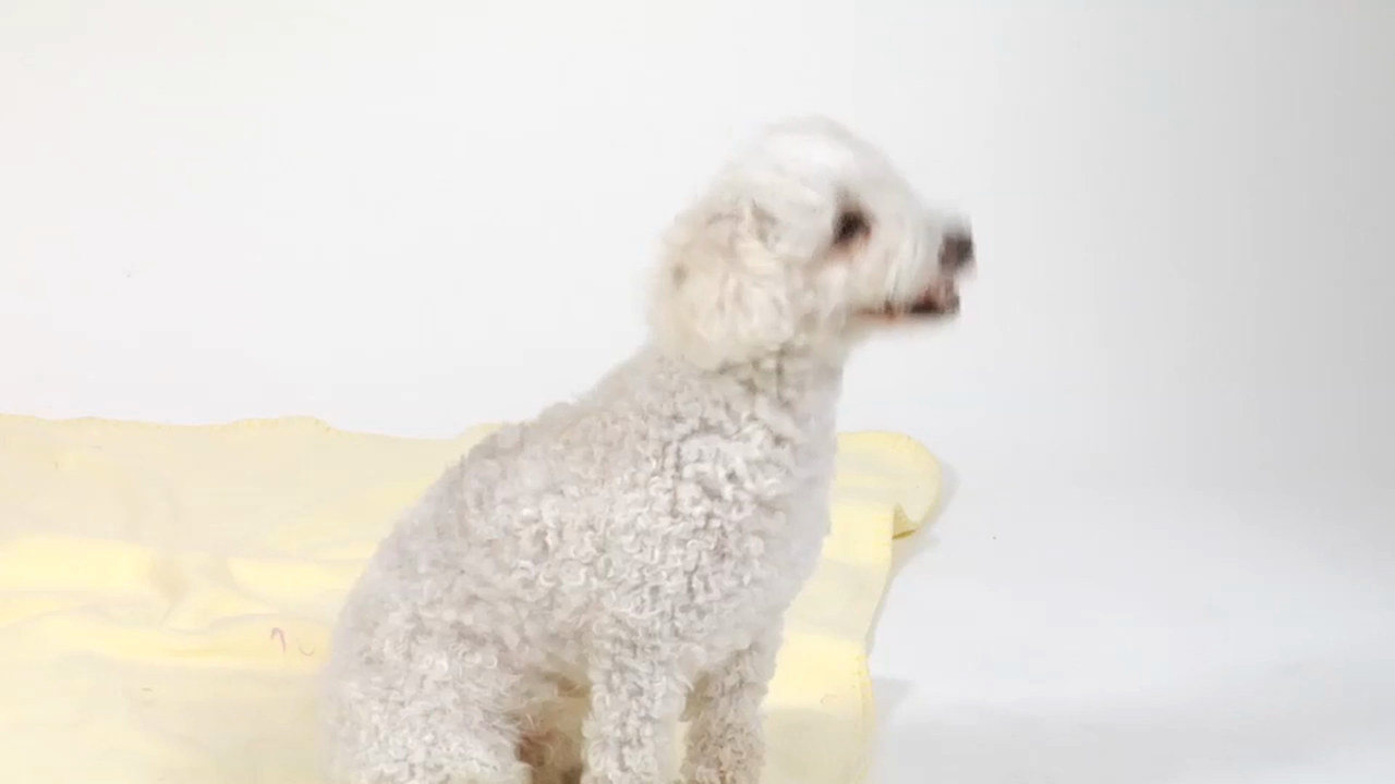 Japanese Volume 1 - Episode 18