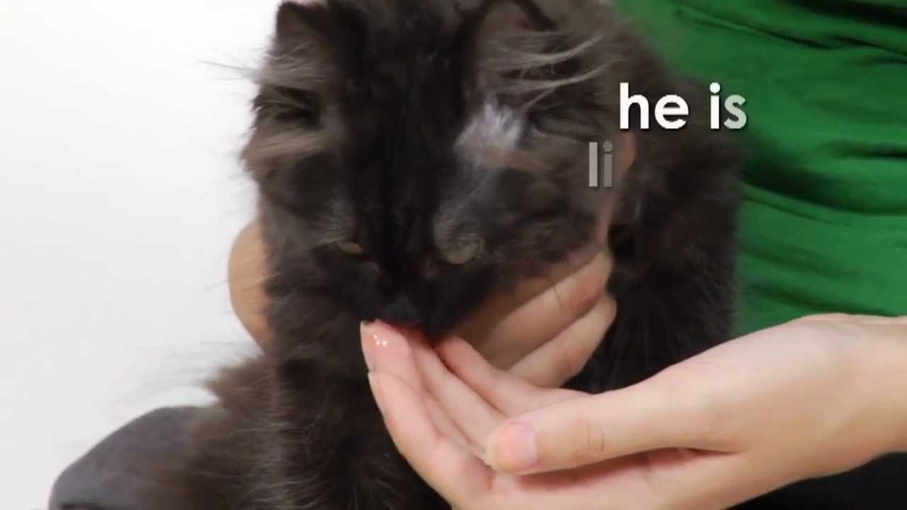 English Volume 1 - Episode 7