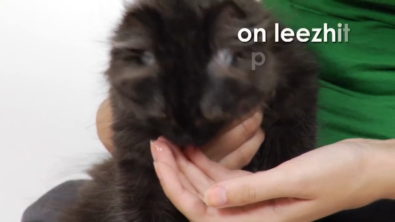 Russian Volume 1 - Episode 7