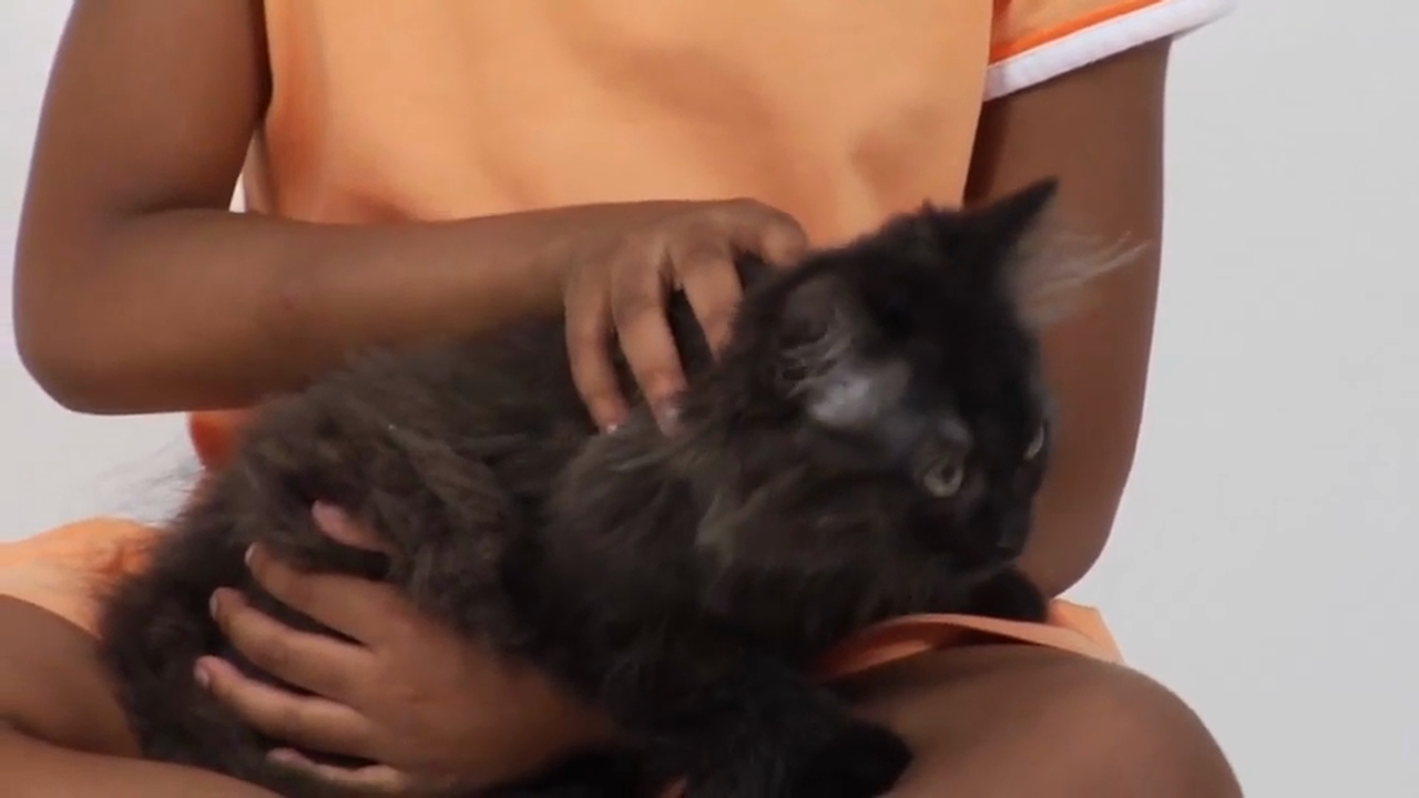 Russian Volume 1 - Episode 18