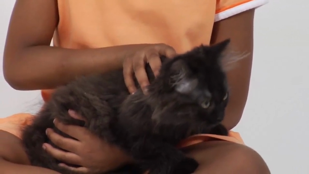 Hebrew Volume 1 - Episode 18