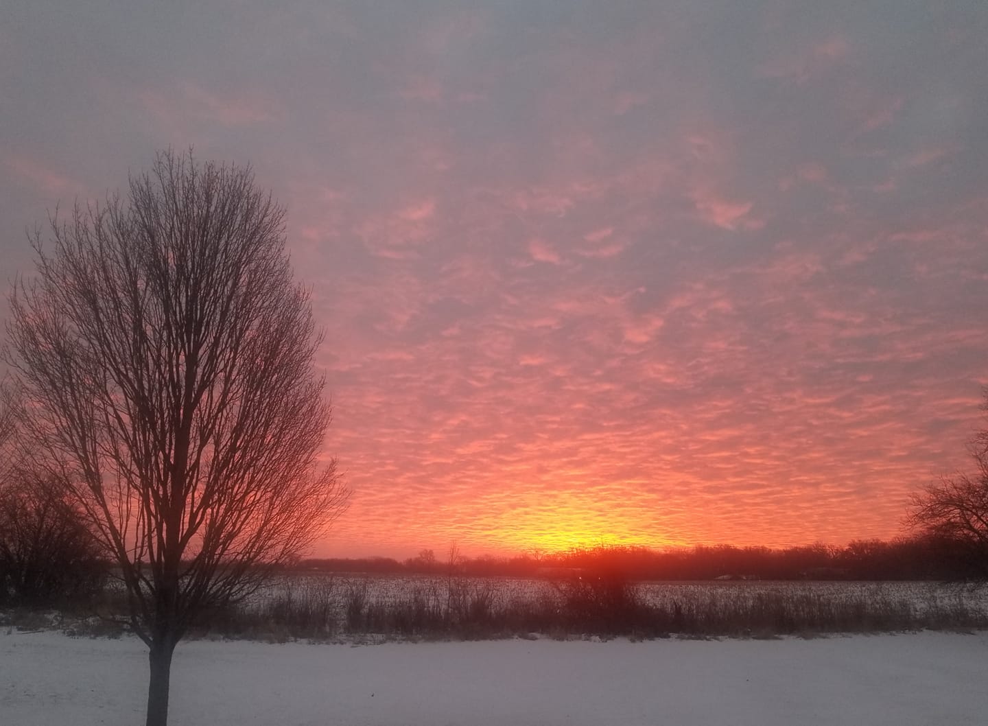 The Funeral Mass of Ted Amberg - 03/07/2026