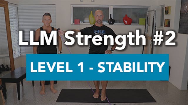 LLM Strength #2 - Level 1 Stability