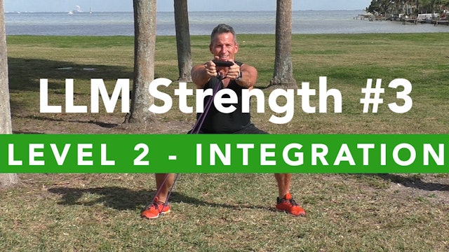 LLM Strength #3 - Level 2 - Integration