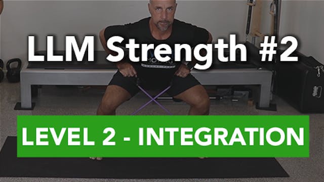 LLM Strength #2 - Level 2 Integration