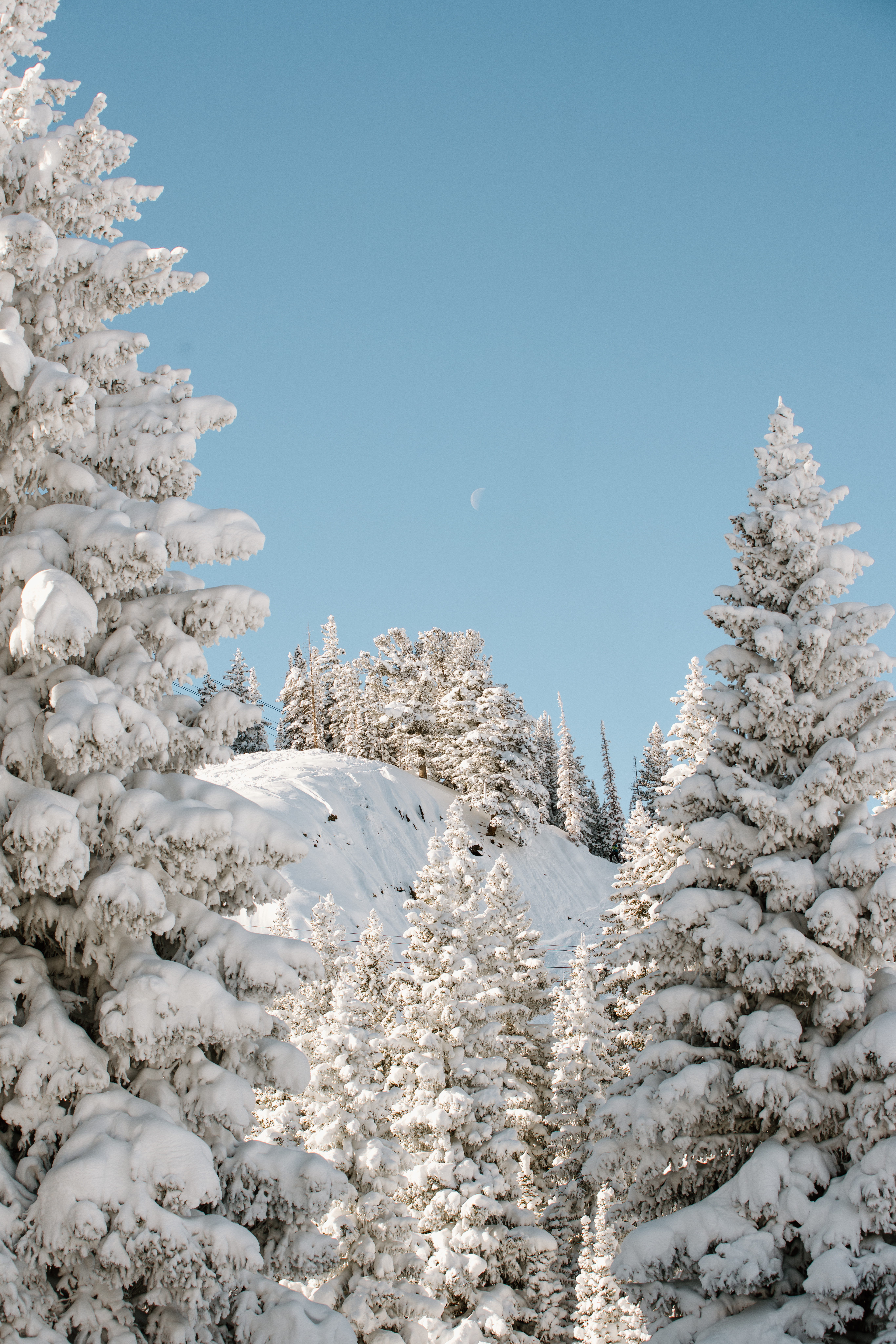 WEDNESDAY | STRENGTH