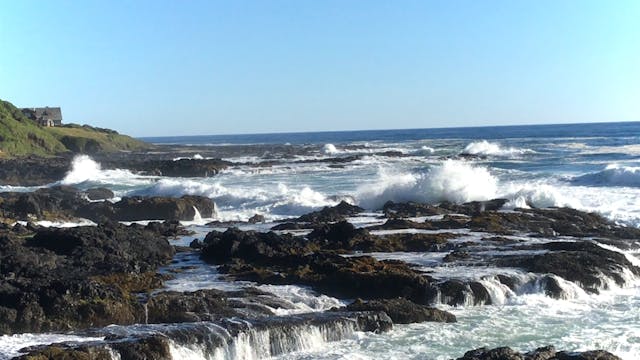 Reset in Yachats