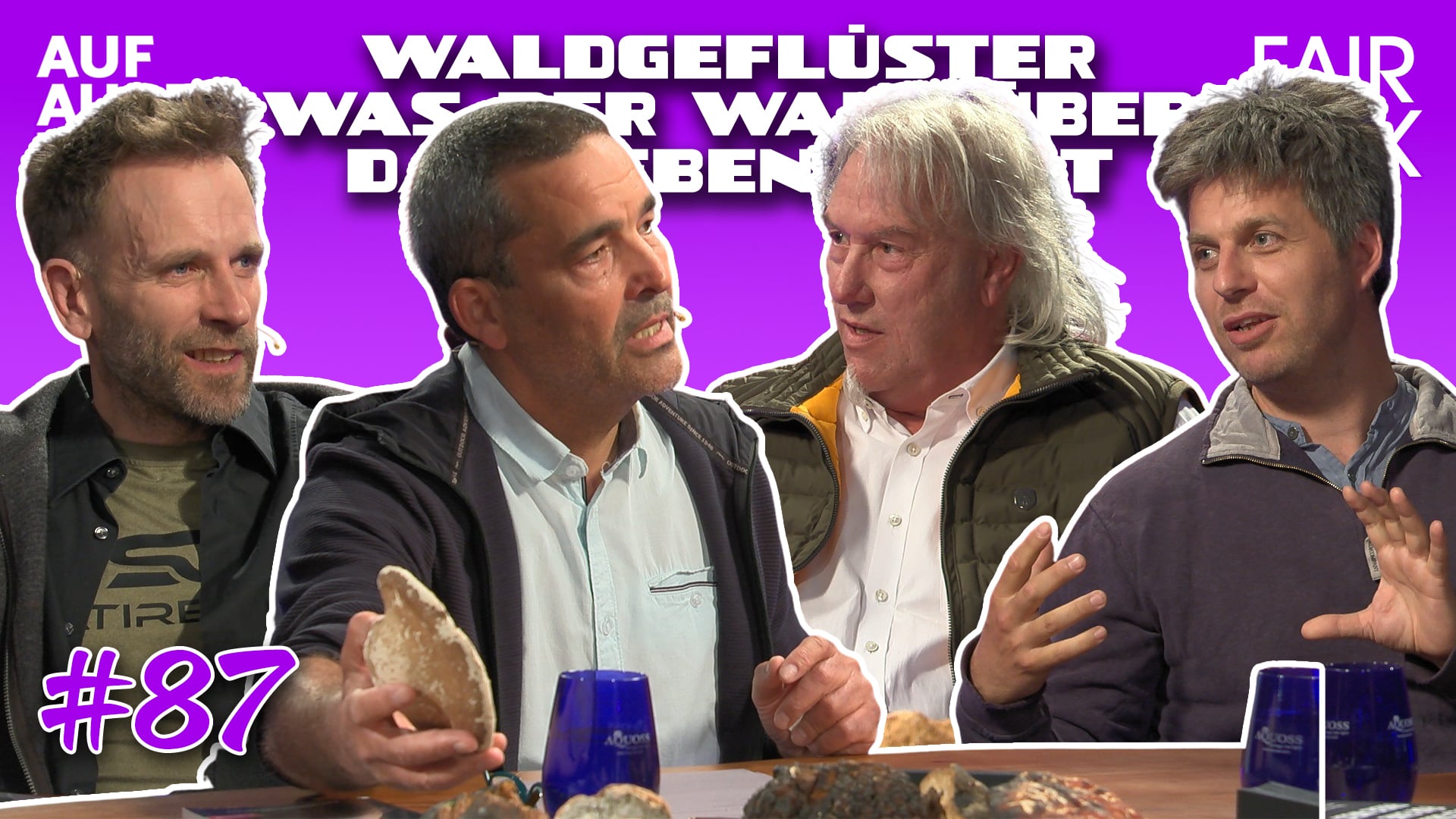 WALDGEFLÜSTER – WAS DER WALD ÜBER DAS LEBEN LEHRT