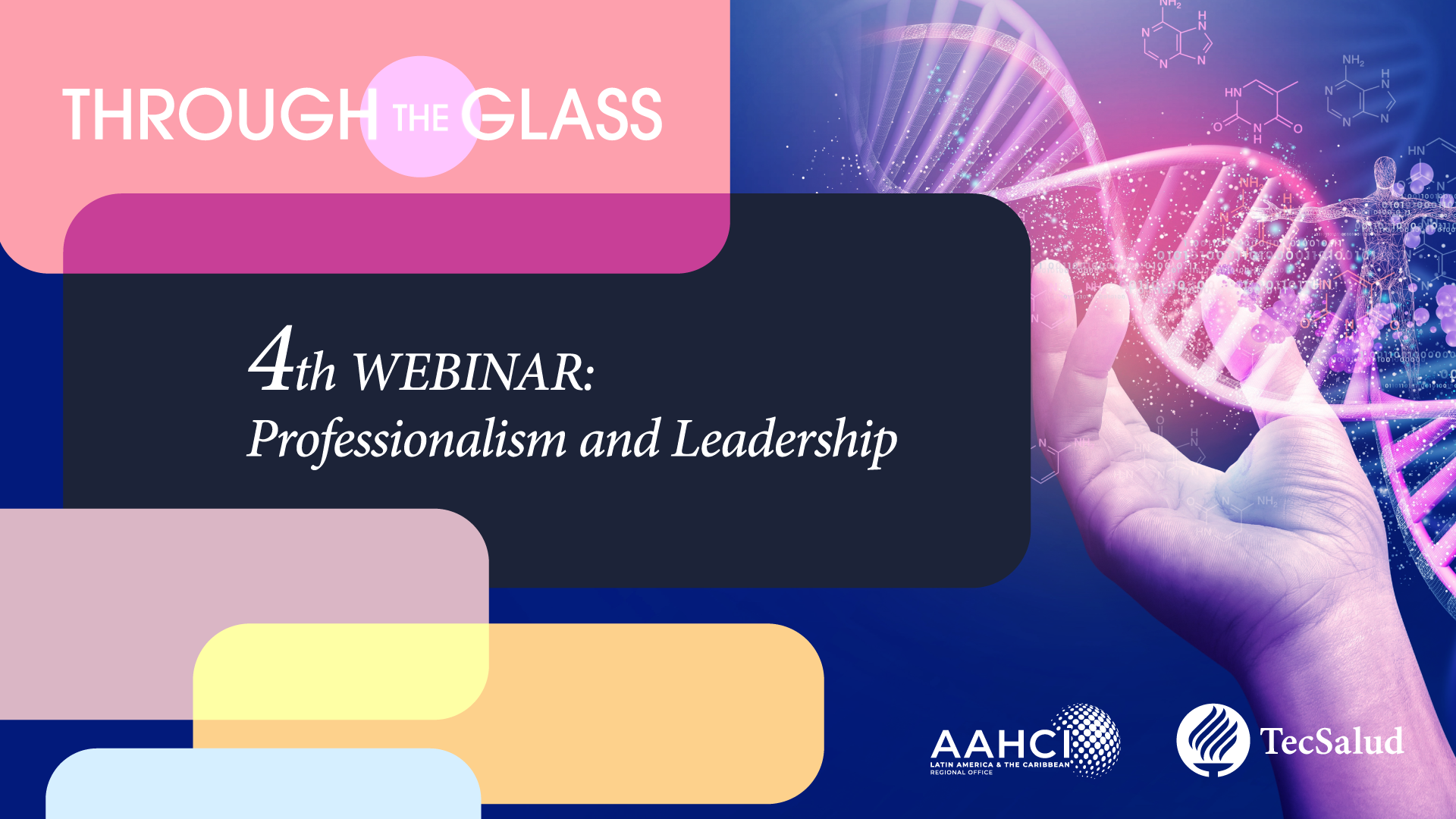 Through the Glass | Salman Yousuf Guraya