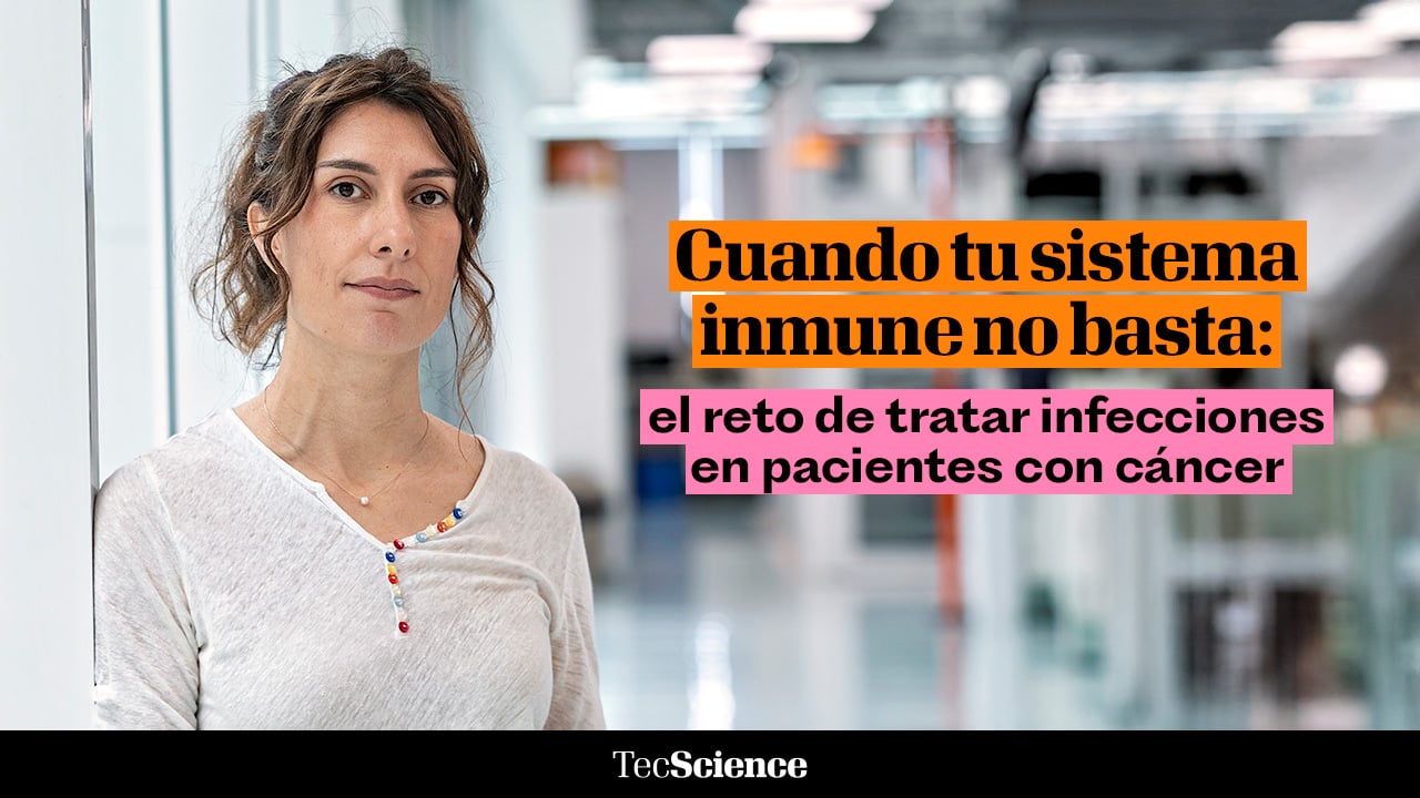 ¿Cómo combatir infecciones en pacientes con cáncer? Esta terapia celular lo investiga