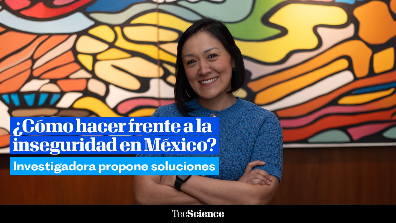 ¿Cómo hacer frente a la inseguridad en México? Una experta propone soluciones