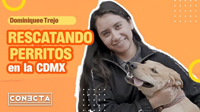 Dominique Trejo: rescantando perritos...