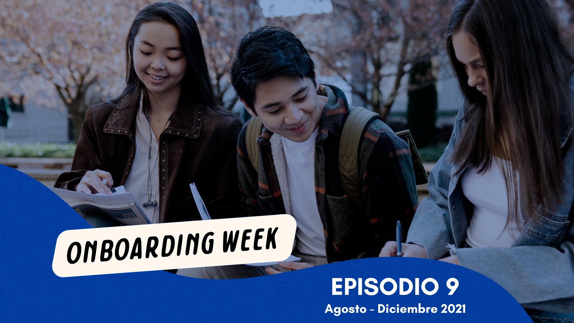 La evolución de la pandemia