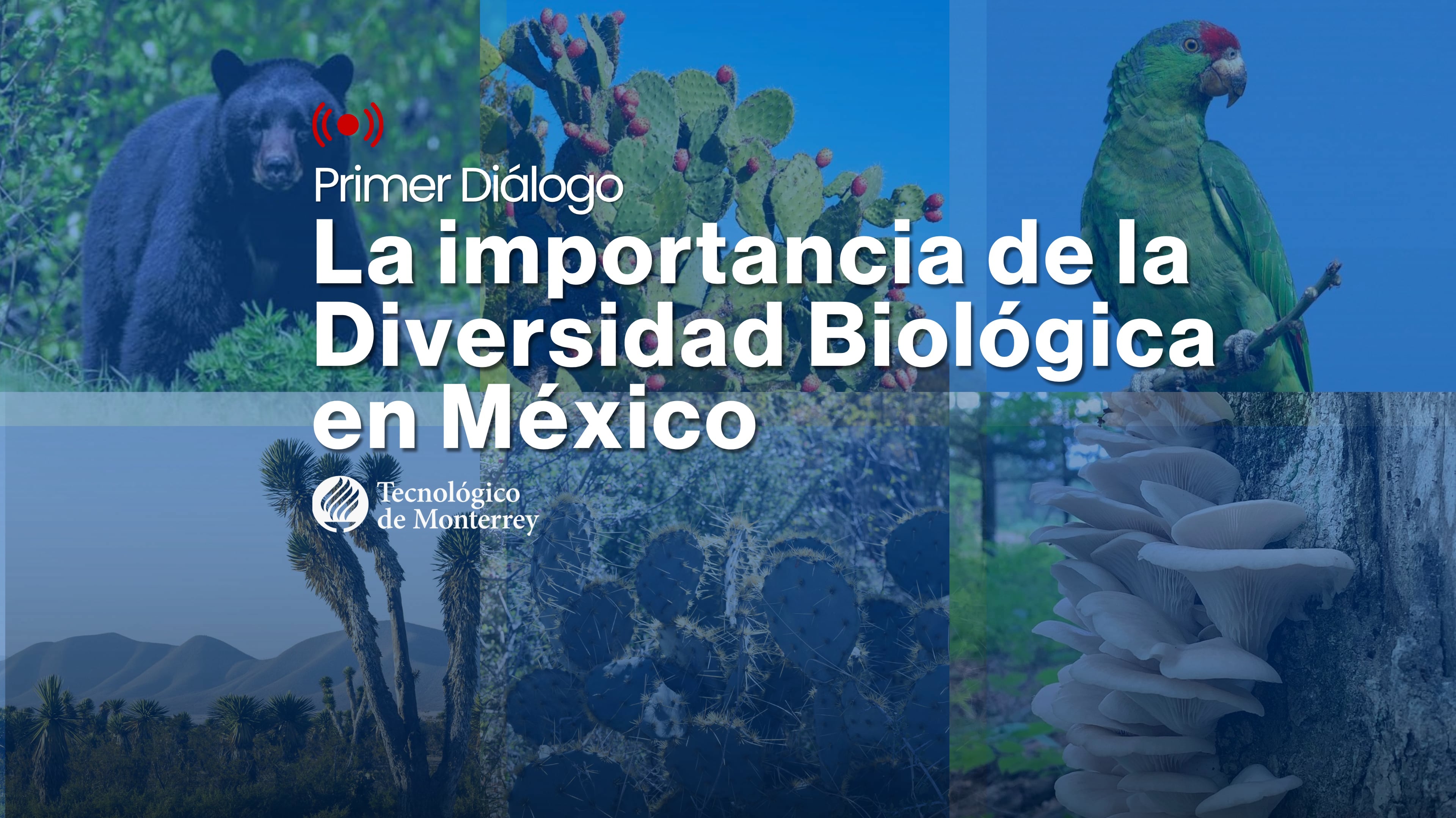 La importancia de la Diversidad Biológica en México
