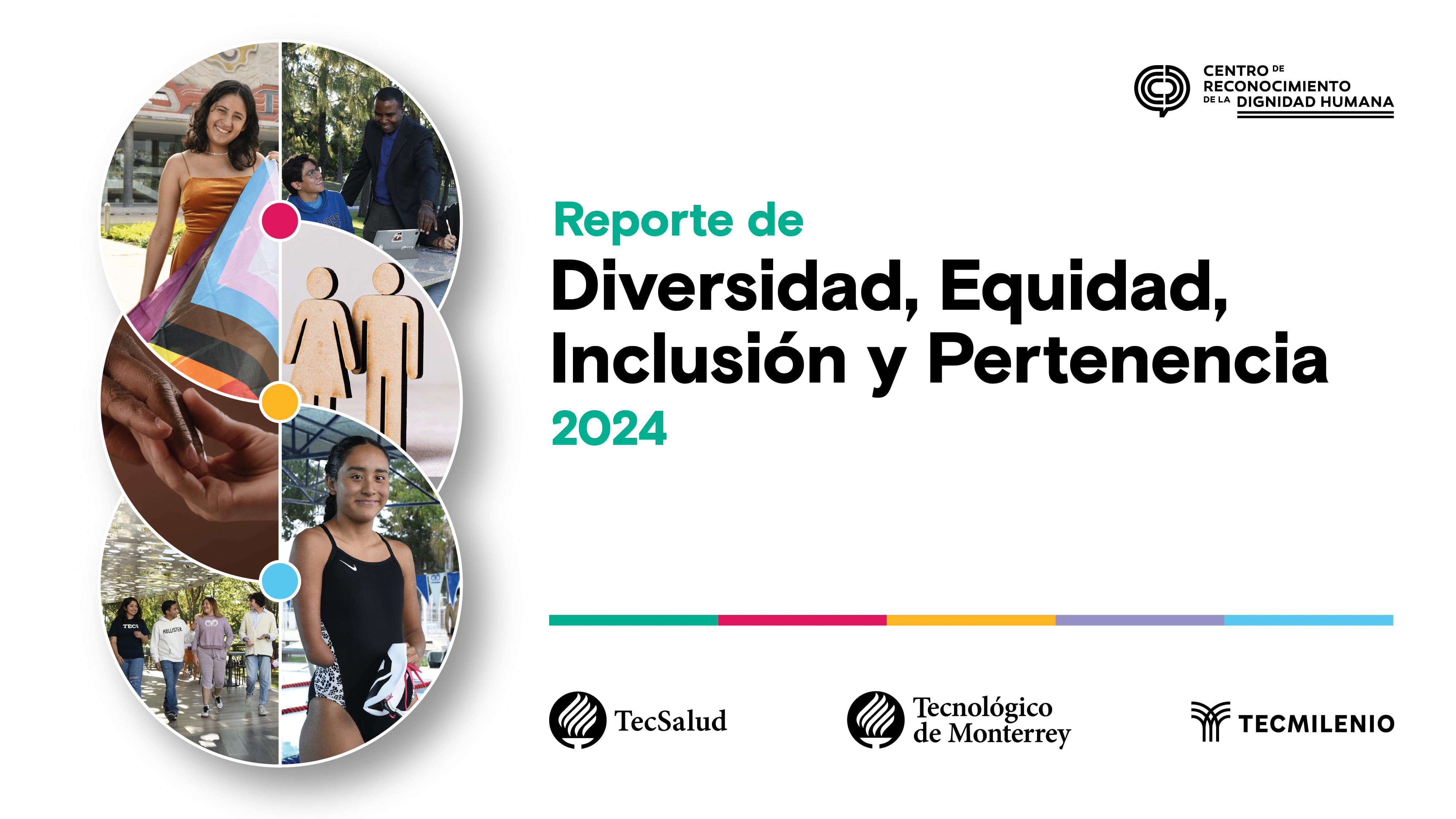 Lanzamiento de Reporte DEIP 2024